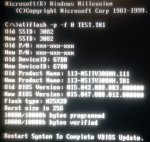 testbiosflash.jpg