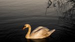 DSC01934 V2.JPG