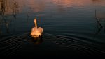 DSC01938 V2.JPG
