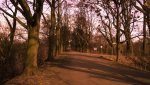DSC01850 V2.jpg
