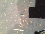 IMG_3380.JPG