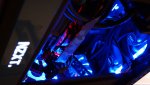 DSC00404.jpg