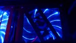 DSC00411.jpg