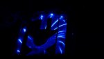 DSC00413.jpg