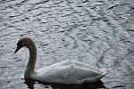 DSC_9283.jpg