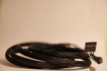 IMG_7250.JPG