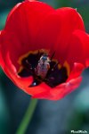 DSC_0277-2.jpg