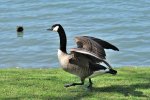 DSC_0025a.jpg