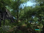 Crysis 2011-02-24 08-54-52-28.jpg