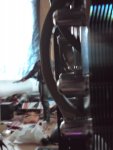 DSC02170.jpg