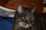 IMG_3050.JPG