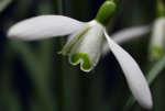 IMG_3516.jpg