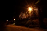 IMG_3084.JPG