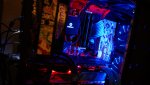 DSC00516.jpg
