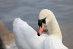 IMG_1422.jpg