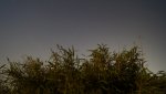 DSC02115.jpg