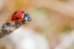 20150308_151807_0089_900x600.jpg