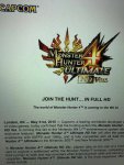 Monster Hunter 4 HD.jpg