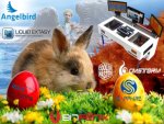 ostern 2.jpg