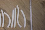 DSC01084.jpg