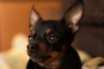 50MM1,4 4.JPG