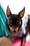 50MM1,4 MKIII 3.JPG