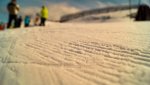 DSC02377.JPG