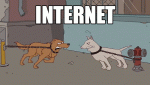 internetvsreality.gif