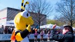 DSC08558.jpg