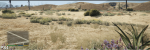 GTAVPS4.PNG