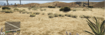GTAVXO.PNG