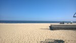 WP_20150419_051.jpg