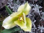 BILD0168.jpg