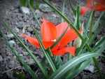 BILD0177.jpg