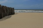 IMG_4580.jpg