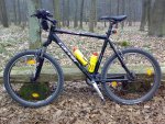 mtb_wss.jpg