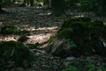 teufelsteine7.jpg