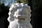 DSC_0070.jpg
