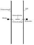 mb befestigung.PNG