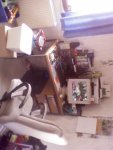 Bild 0262.jpg