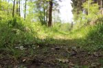 IMG_4132kleiner.jpg