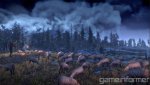 the-witcher-3-screenshot-12.jpg