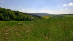 WP_20150518_14_35_18_Pro.jpg