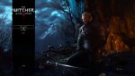 witcher3 2015-05-19 00-30-36-45.jpg