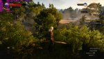 witcher3 2015-05-19 01-49-33-09.jpg
