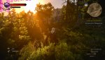 witcher3 2015-05-19 01-55-46-17.jpg