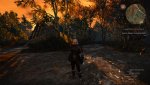 witcher3 2015-05-19 09-36-26.jpg