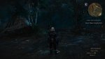 witcher3 2015-05-19 09-37-05.jpg