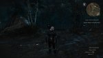 witcher3 2015-05-19 09-36-57.jpg