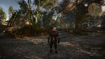 witcher3 2015-05-19 09-37-40.jpg